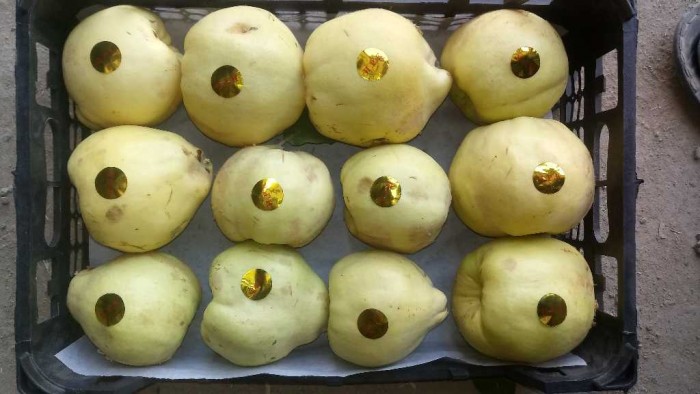 میوه لوکس