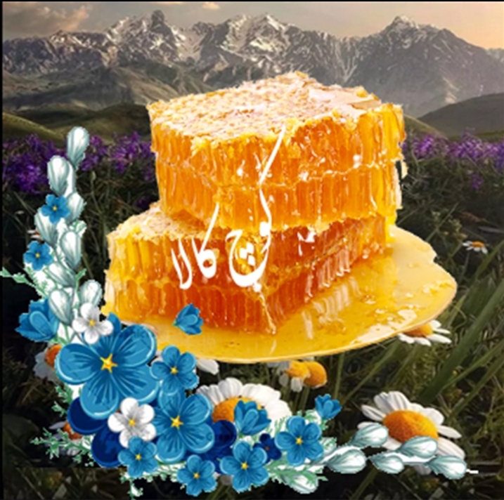 محصولات ارگانیک عشایری