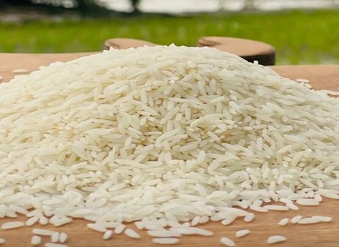 برنج شمال