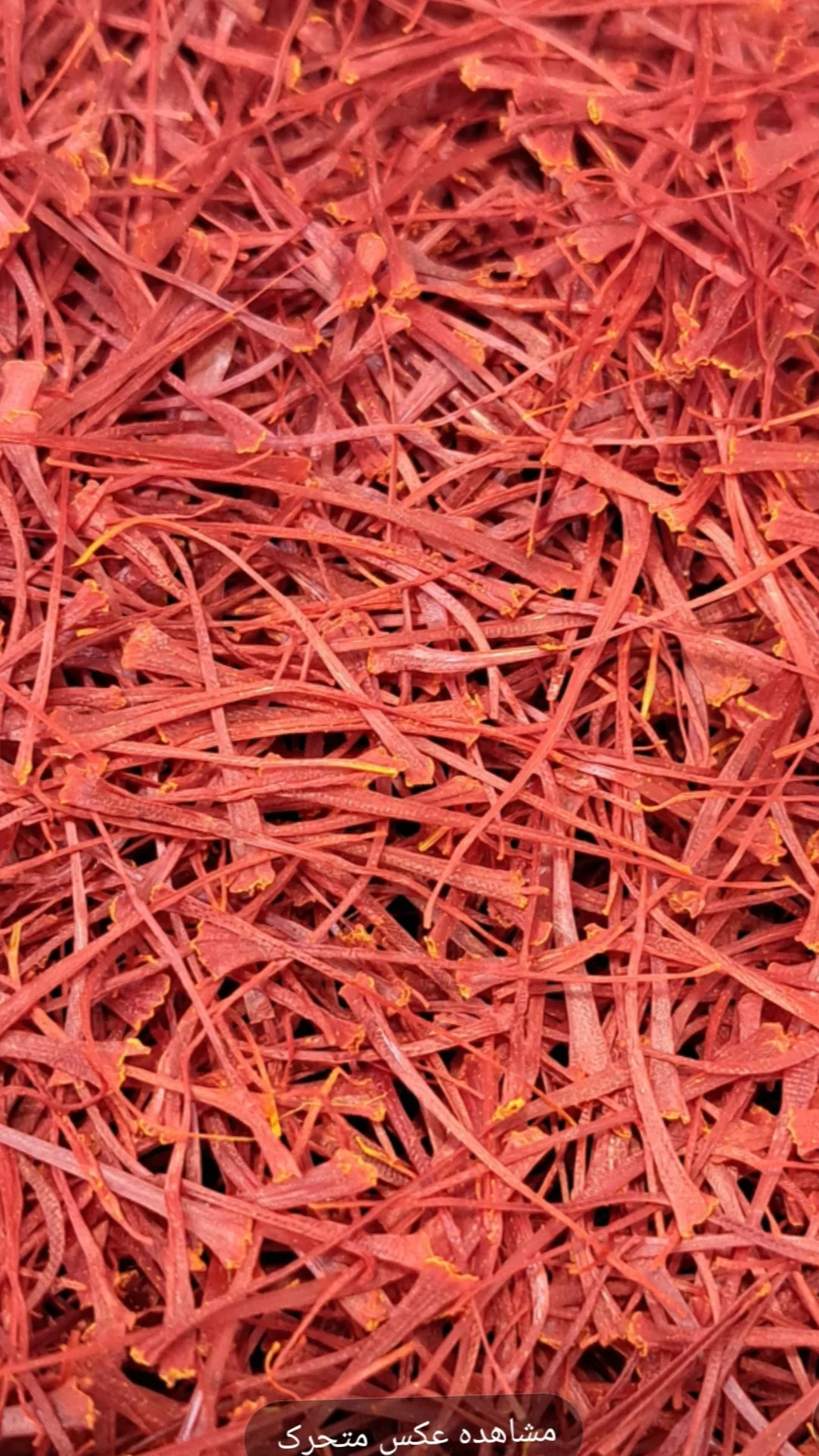 زعفران نگین کشاورز 