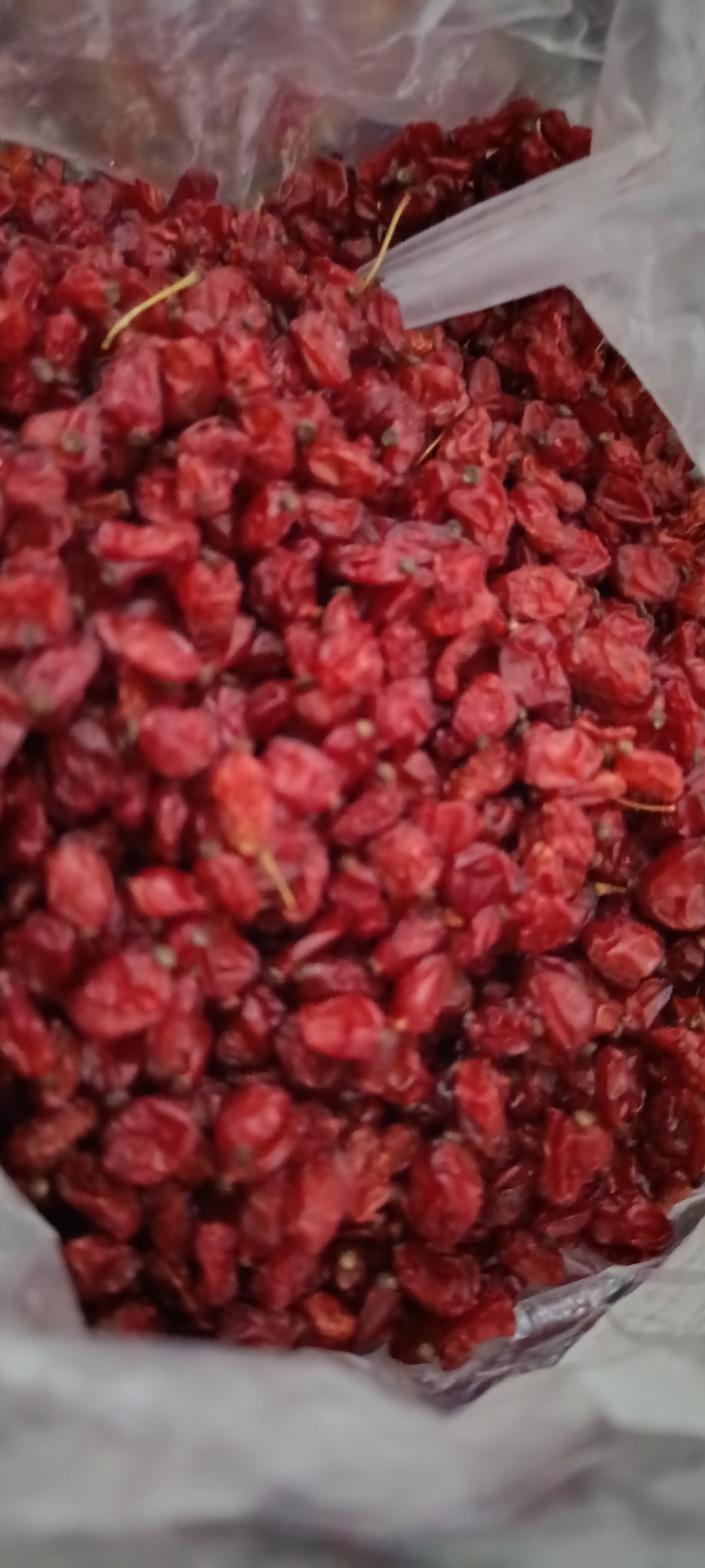 زرشک اعلا درجه یک