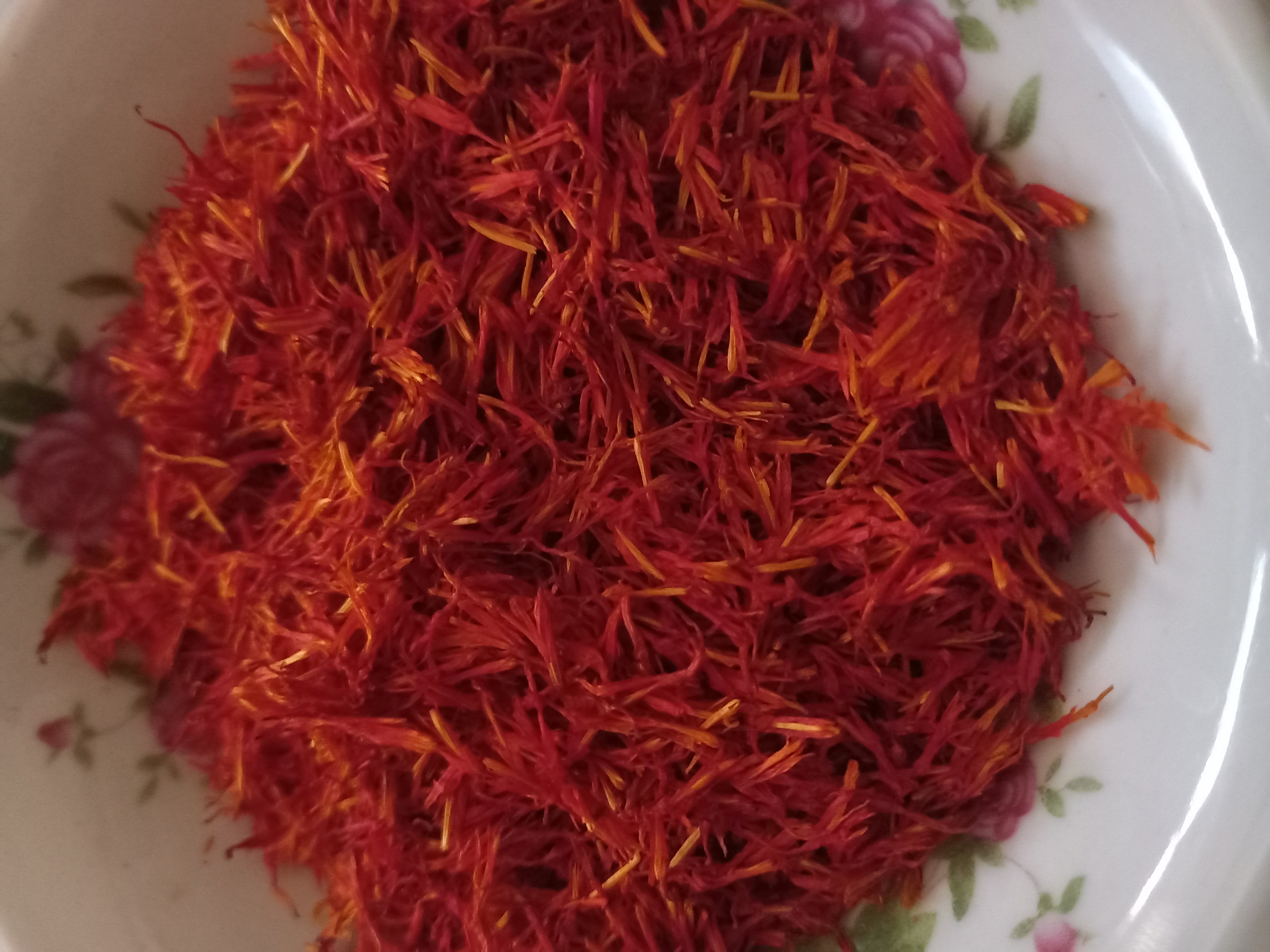 گلرنگ کرمان 
