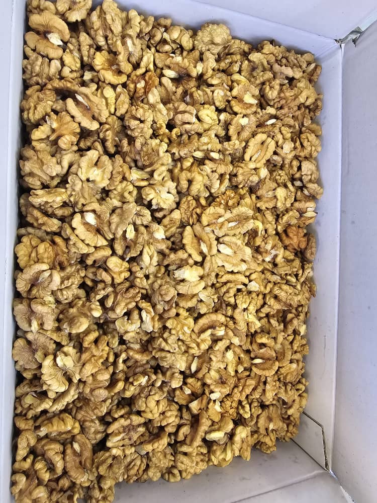 مغز گردو ایرانی