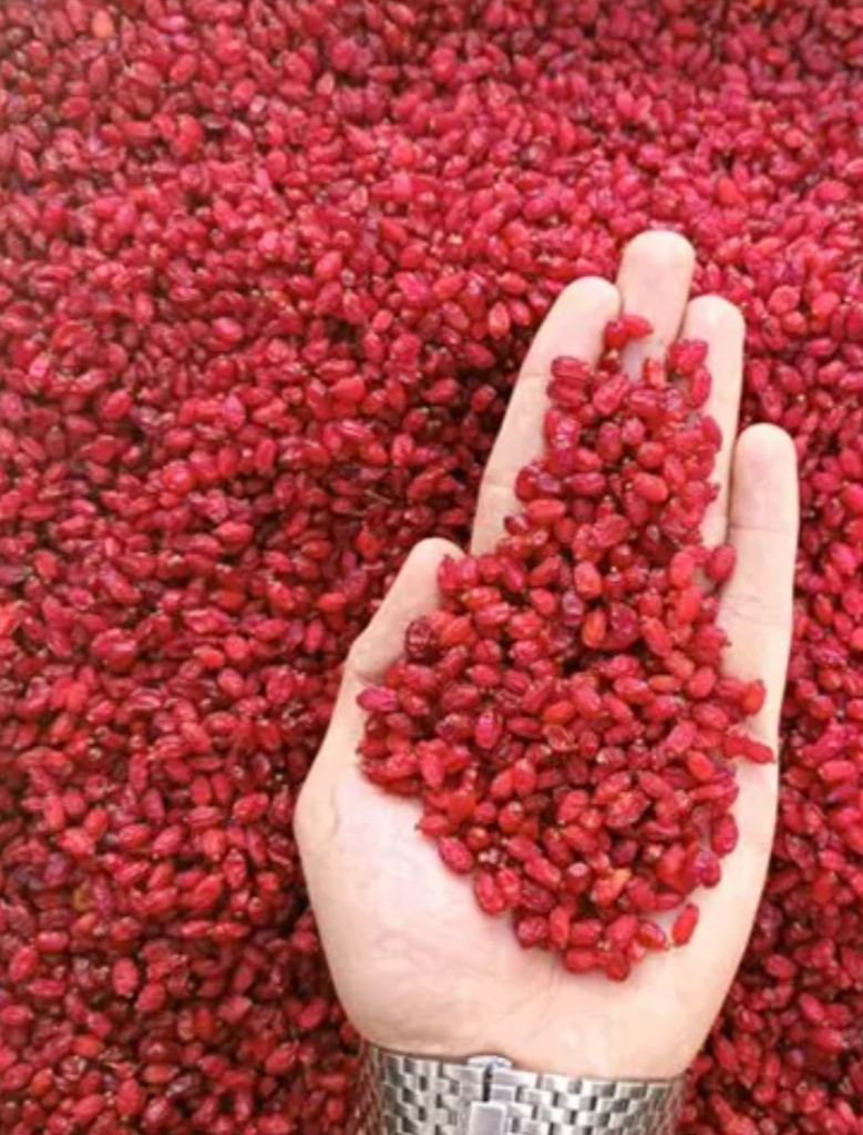 میوه خشک