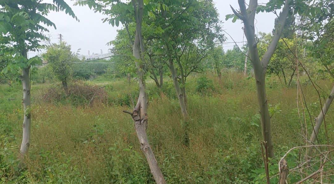 1215 تجاری مسکونی تنکابن مازندران