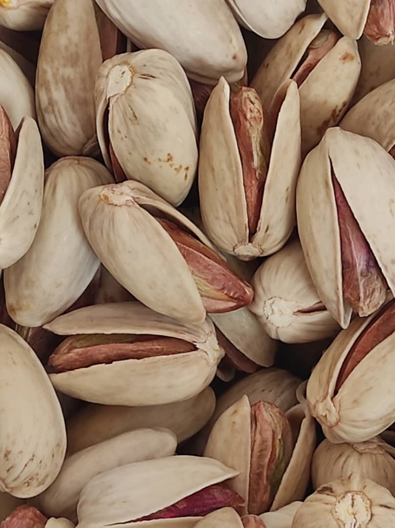 فروش پسته اکبری