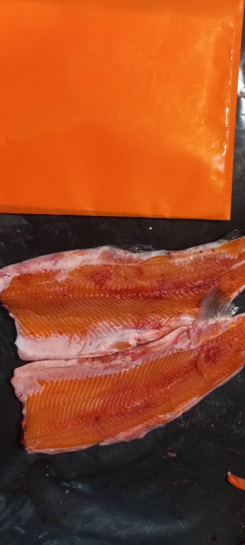 ماهی سالمون تازه