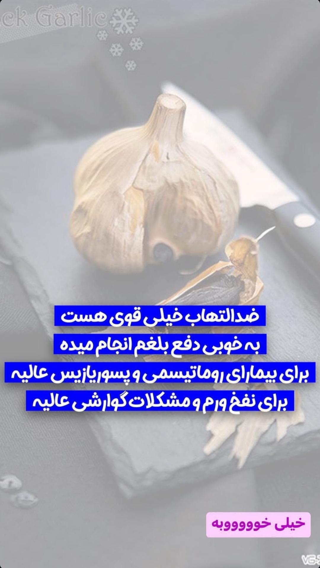 سیر سیاه