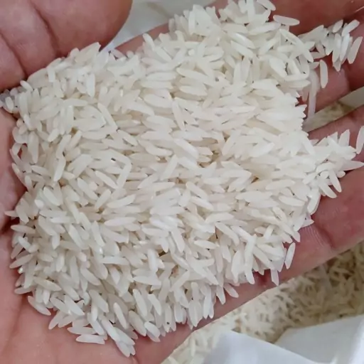 برنج درجه یک گیلان