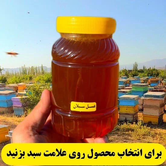 محصولات چرم مغان