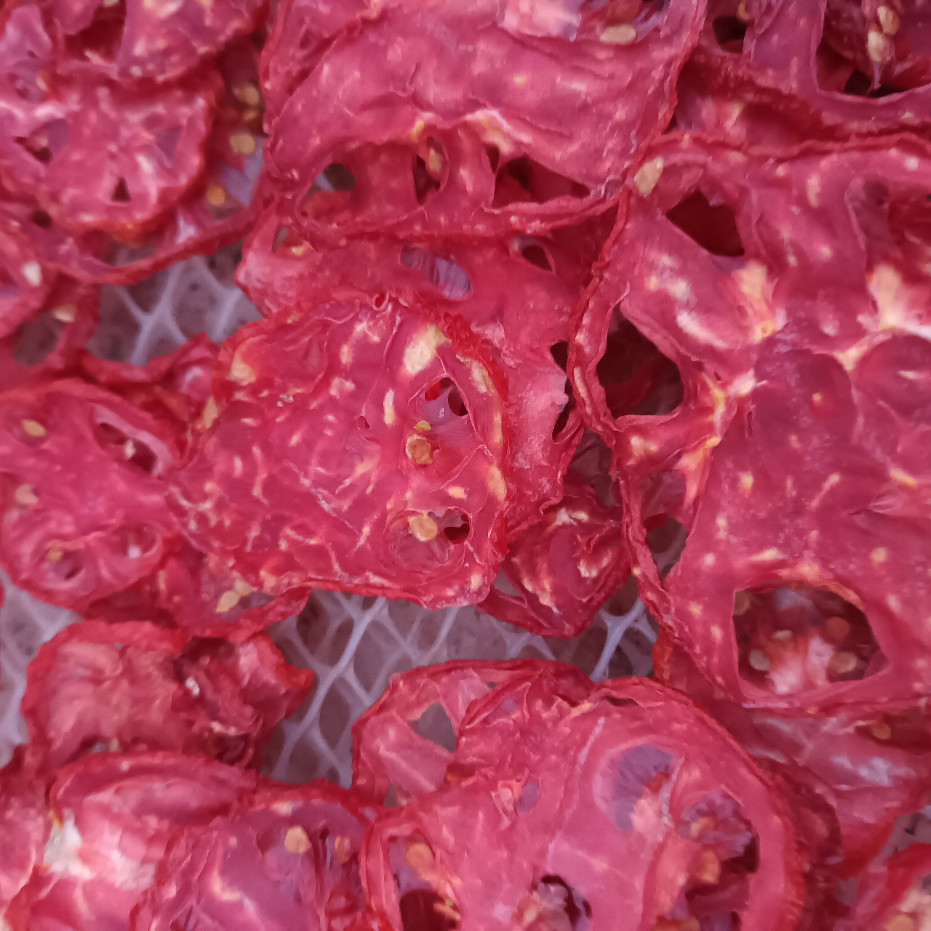 فروش میوه خشک