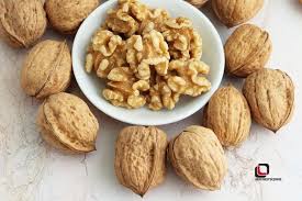 مغز گردو