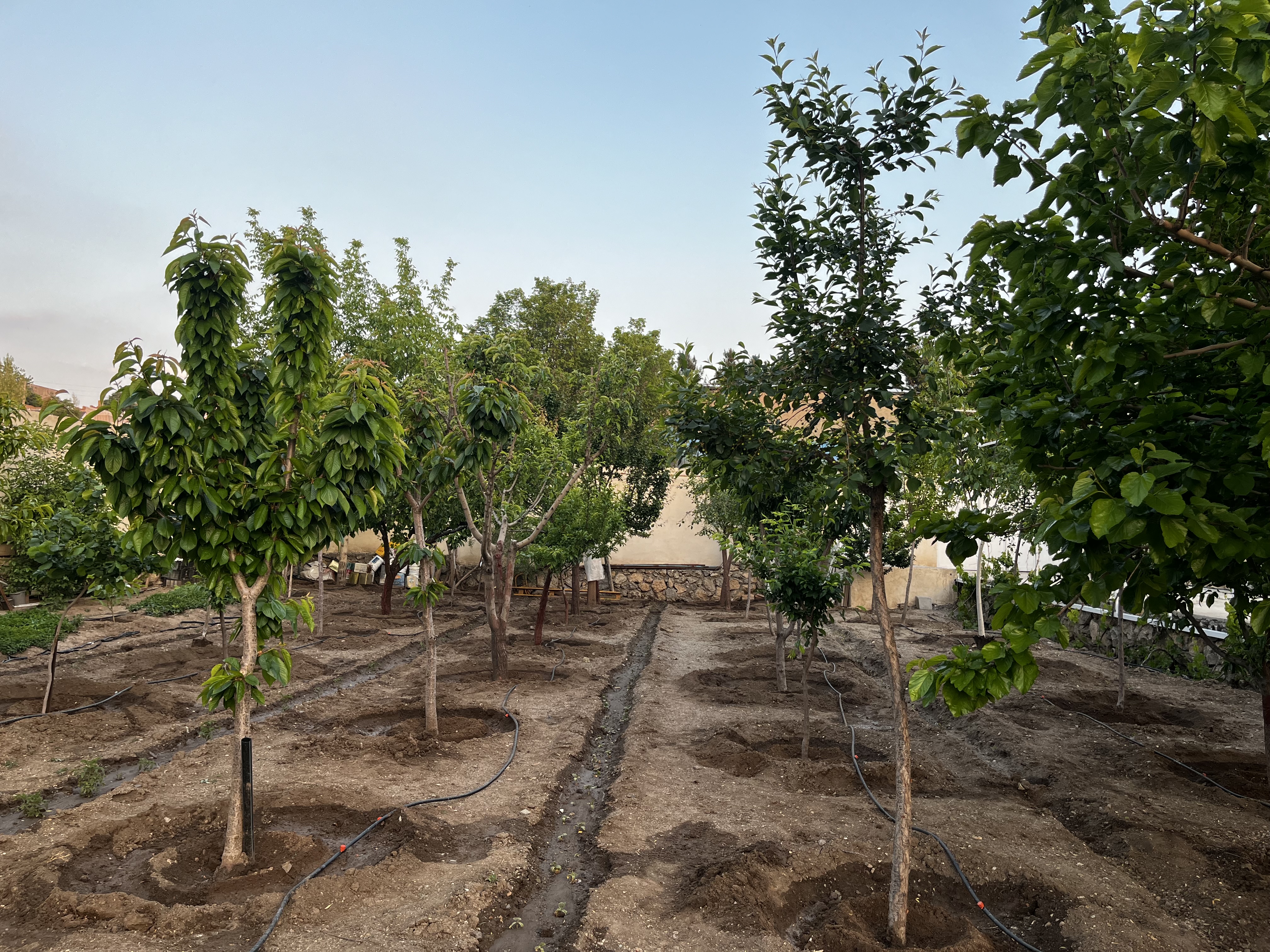 فروش باغ ویلا در منطقه ییلاقی کرشت