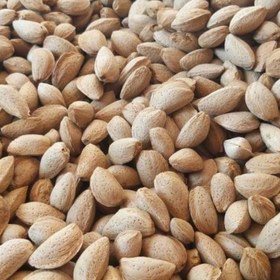 بادام درجه یک ایرانی