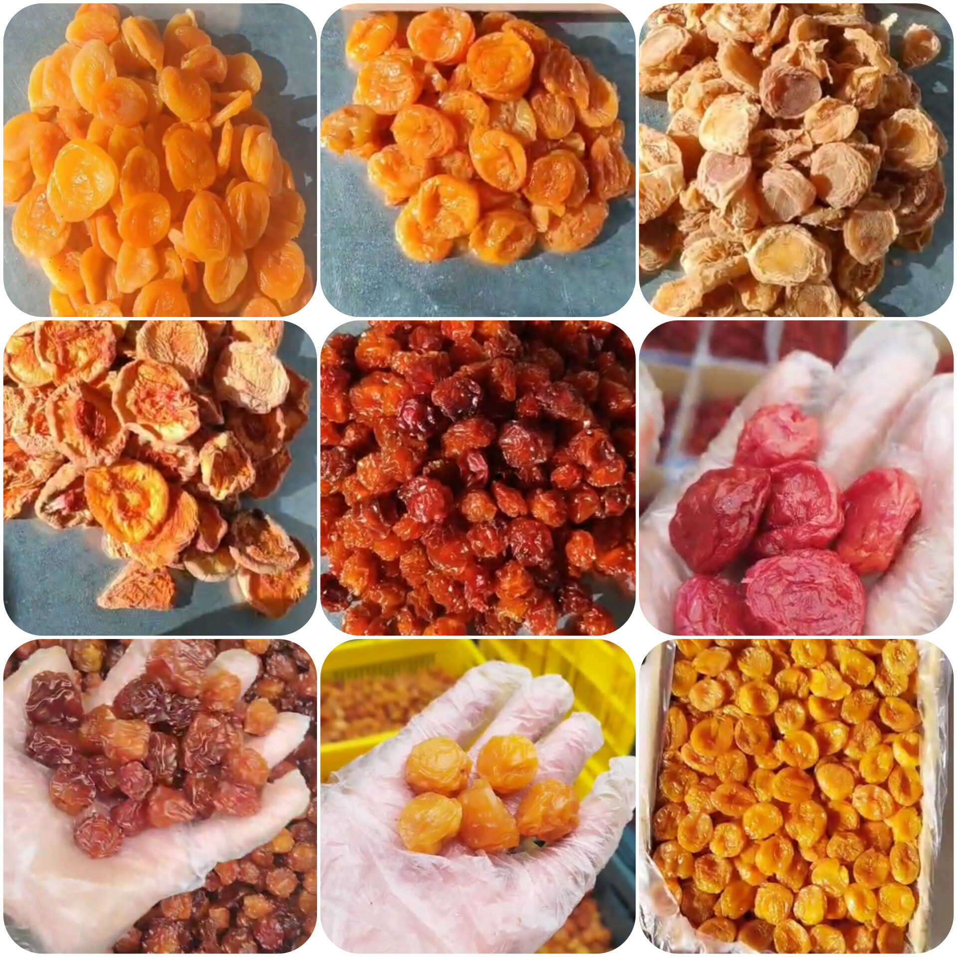 خشکبار اعلاء