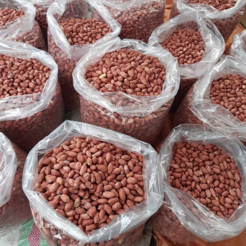 بادام زمینی آستانه اشرفیه
