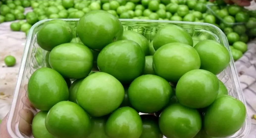 الو سبز گوجه سبز