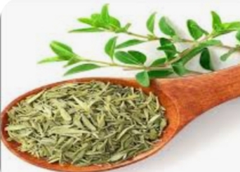 آویشن کوهی 