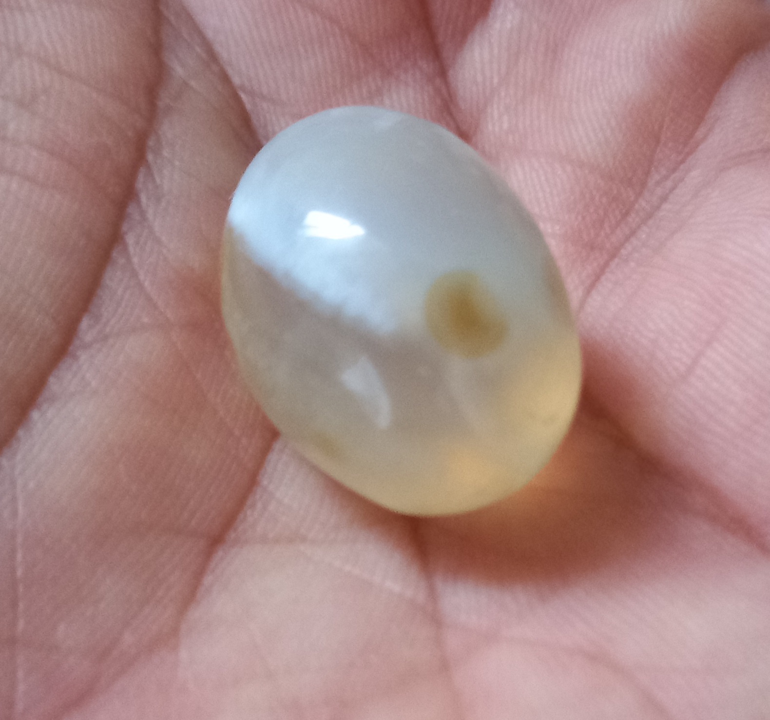 مهره مار بزرگ