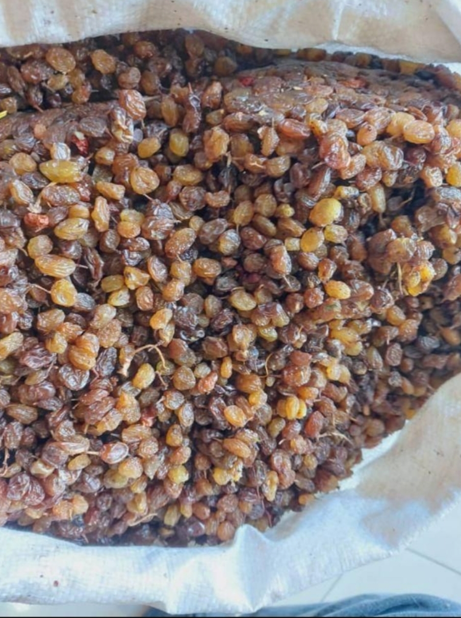 کشمش 
