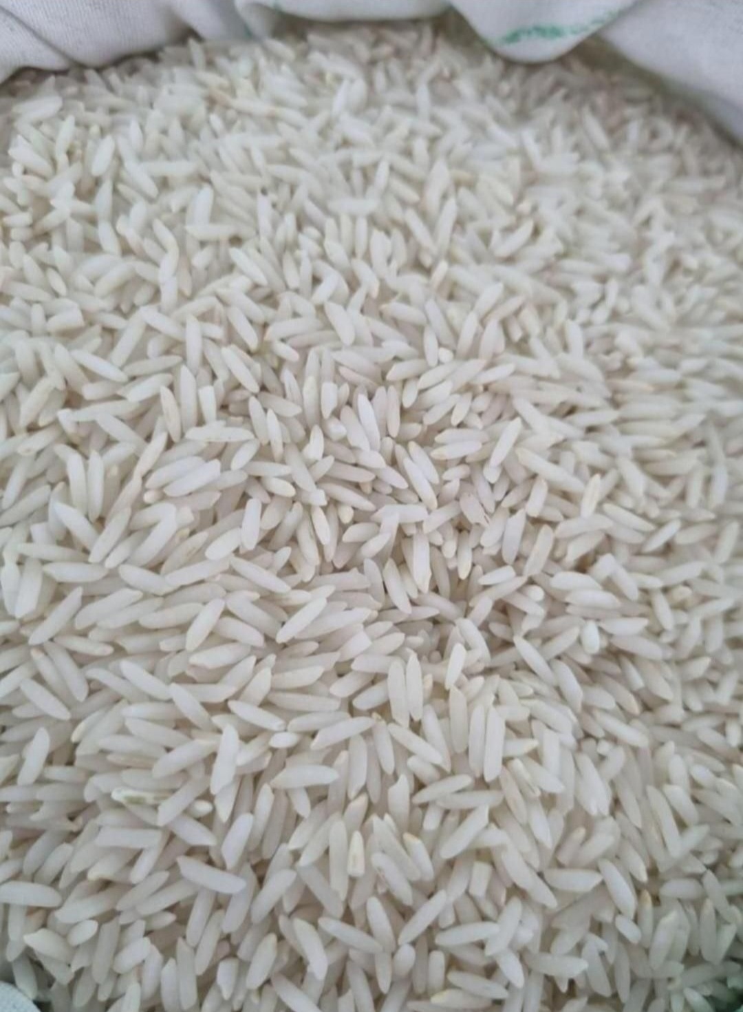 انواع برنج ایرانی 