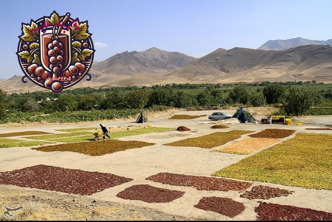شیره انگور طبیعی