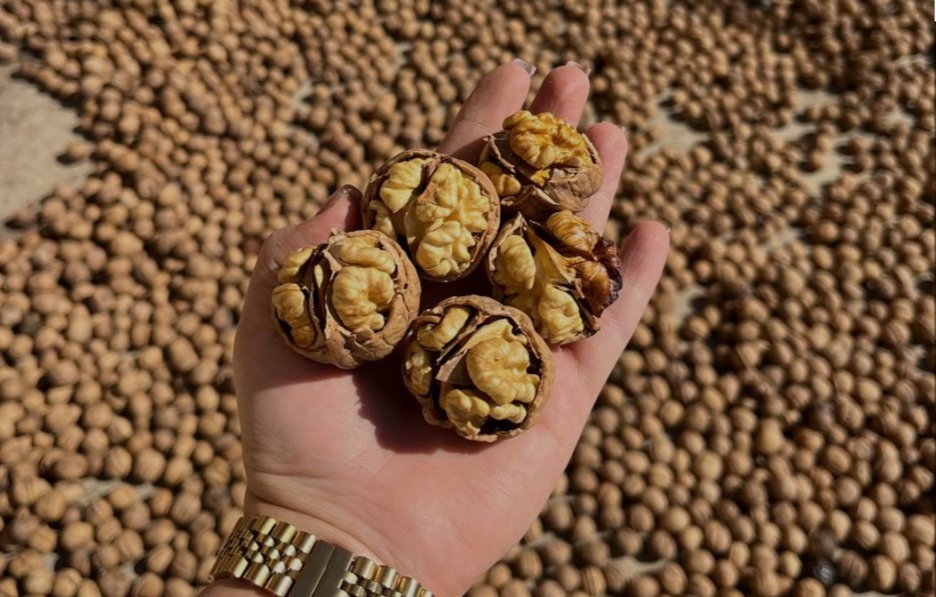 فروش زعفران و خشکبار صداقت 