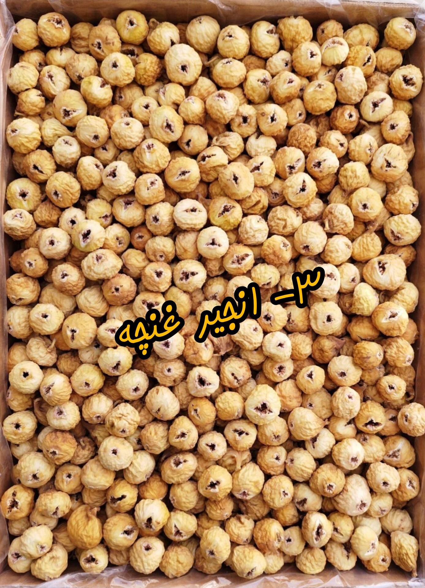  انجیر استهبان 