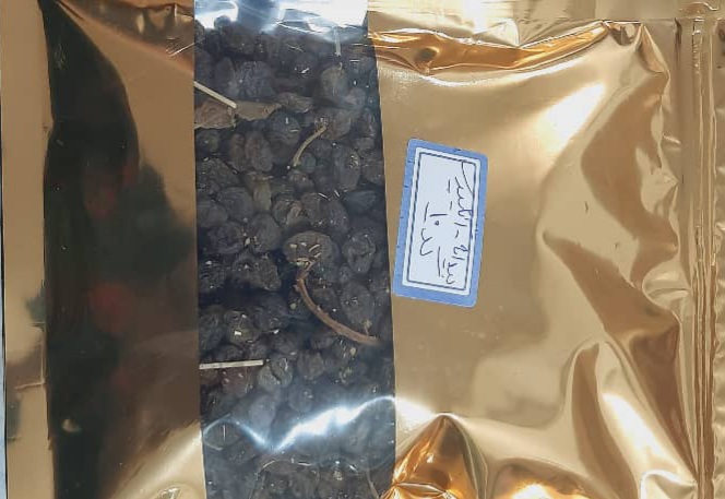 فروش  انواع کشمکش صادراتی 