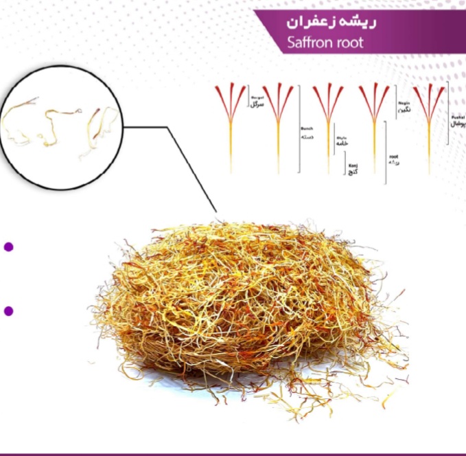 زعفران اصل ایرانی
