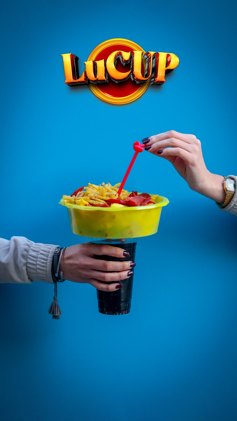 ظرف سوخاری و فست فود