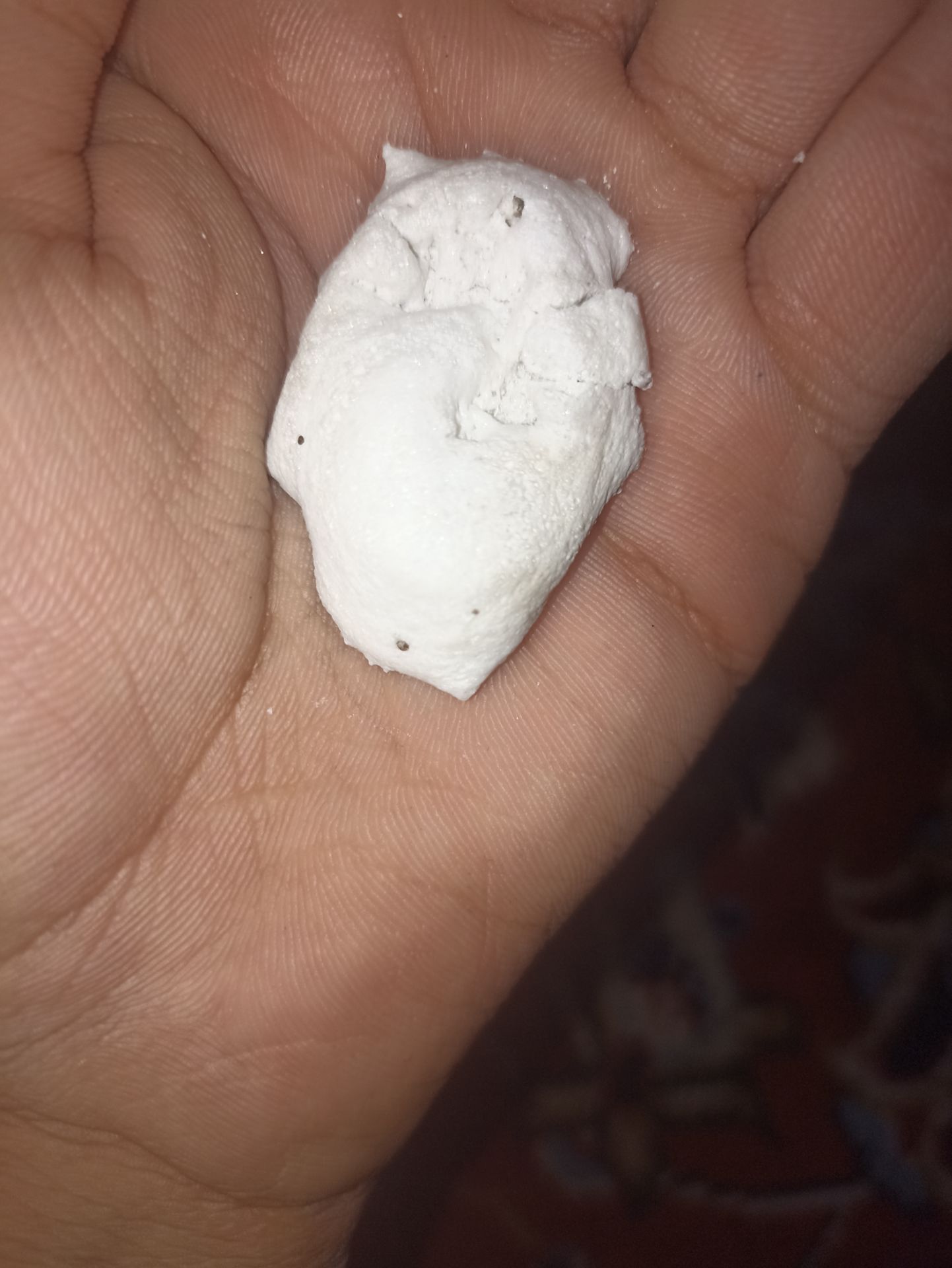 سوختن زاغ با تجربه بالا