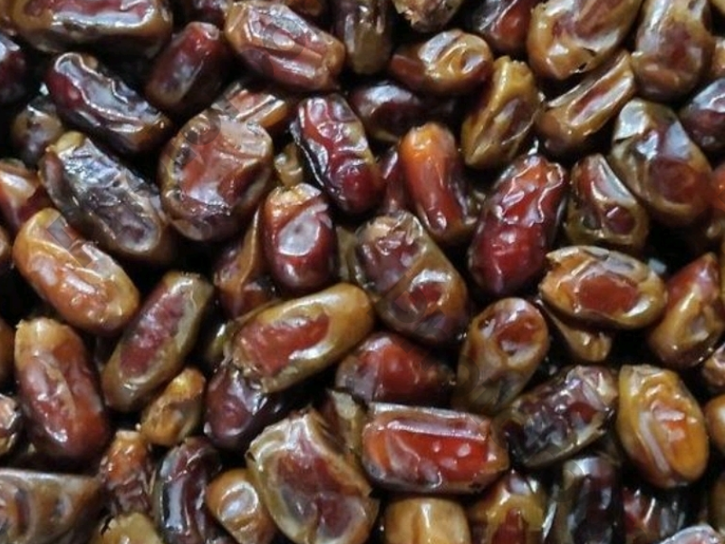 فروش انواع خرما