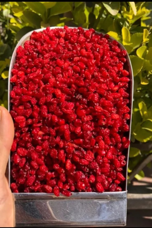 زرشک زعفران