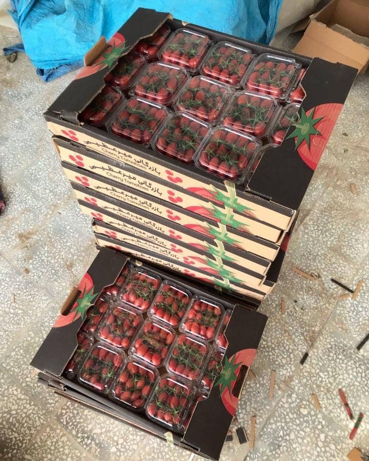 Export cherry tomato