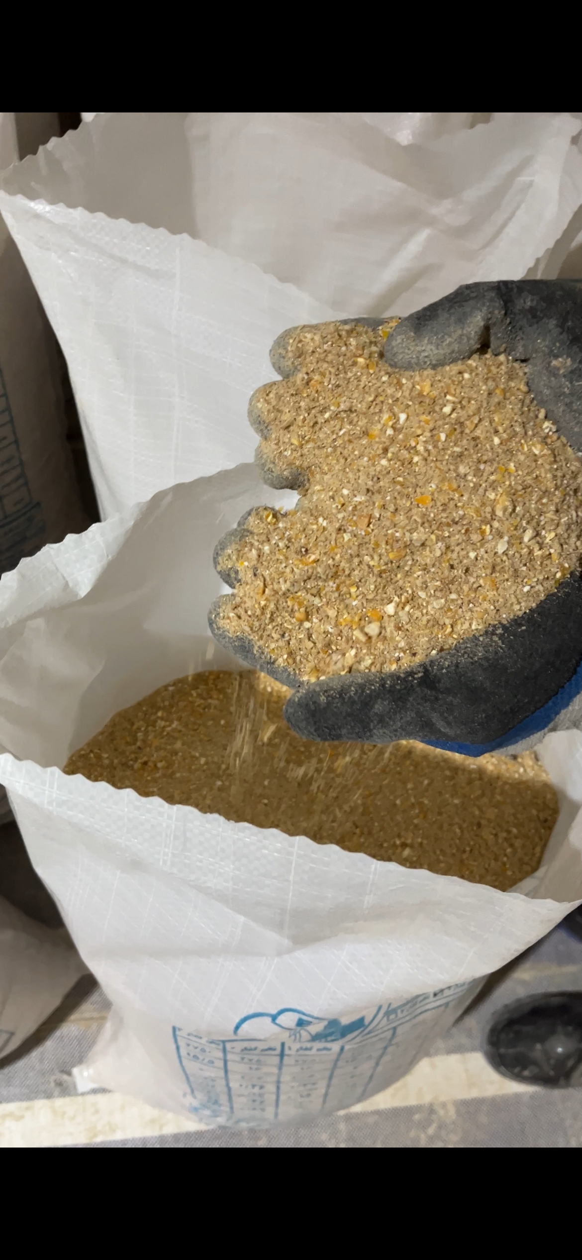 دان‌مرغ تخم‌گذار صادراتی