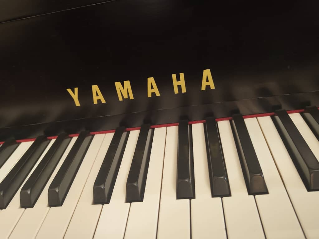 فروش انواع سازهای  ایرانی و کلاسیک 