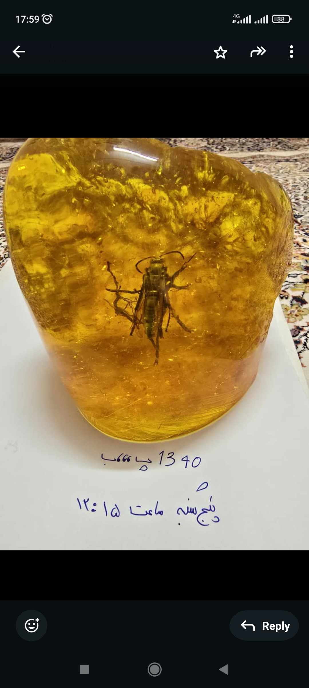 کهربای مهماندار