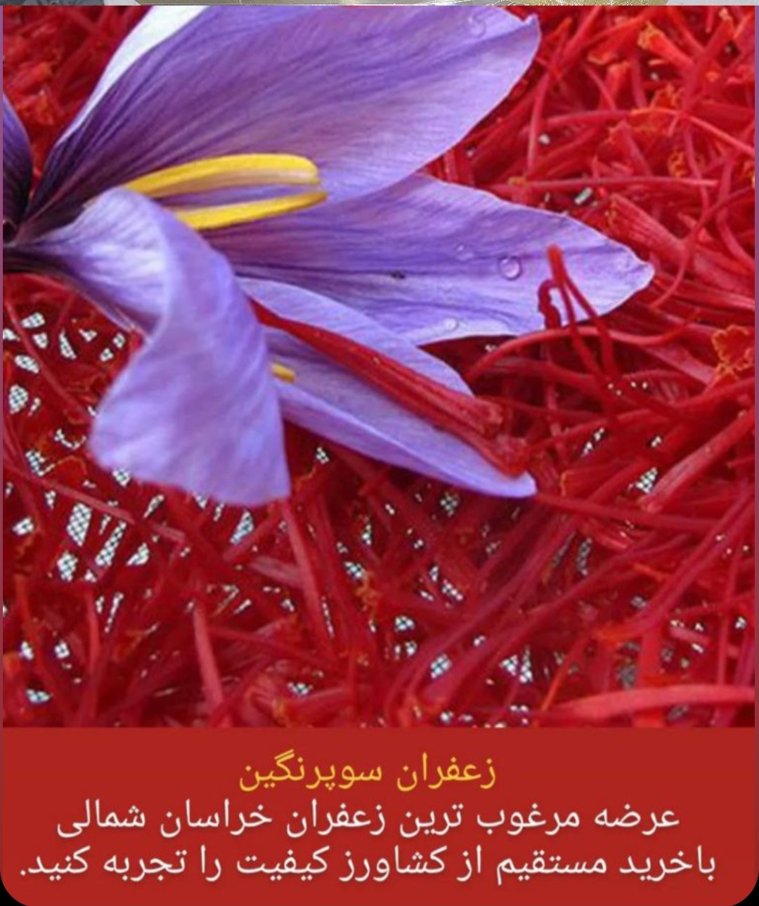 زعفران سوپر نگین