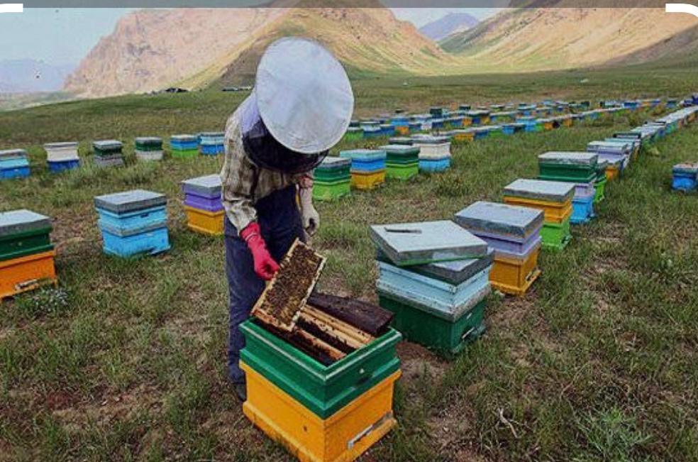 العسل الطبیعی