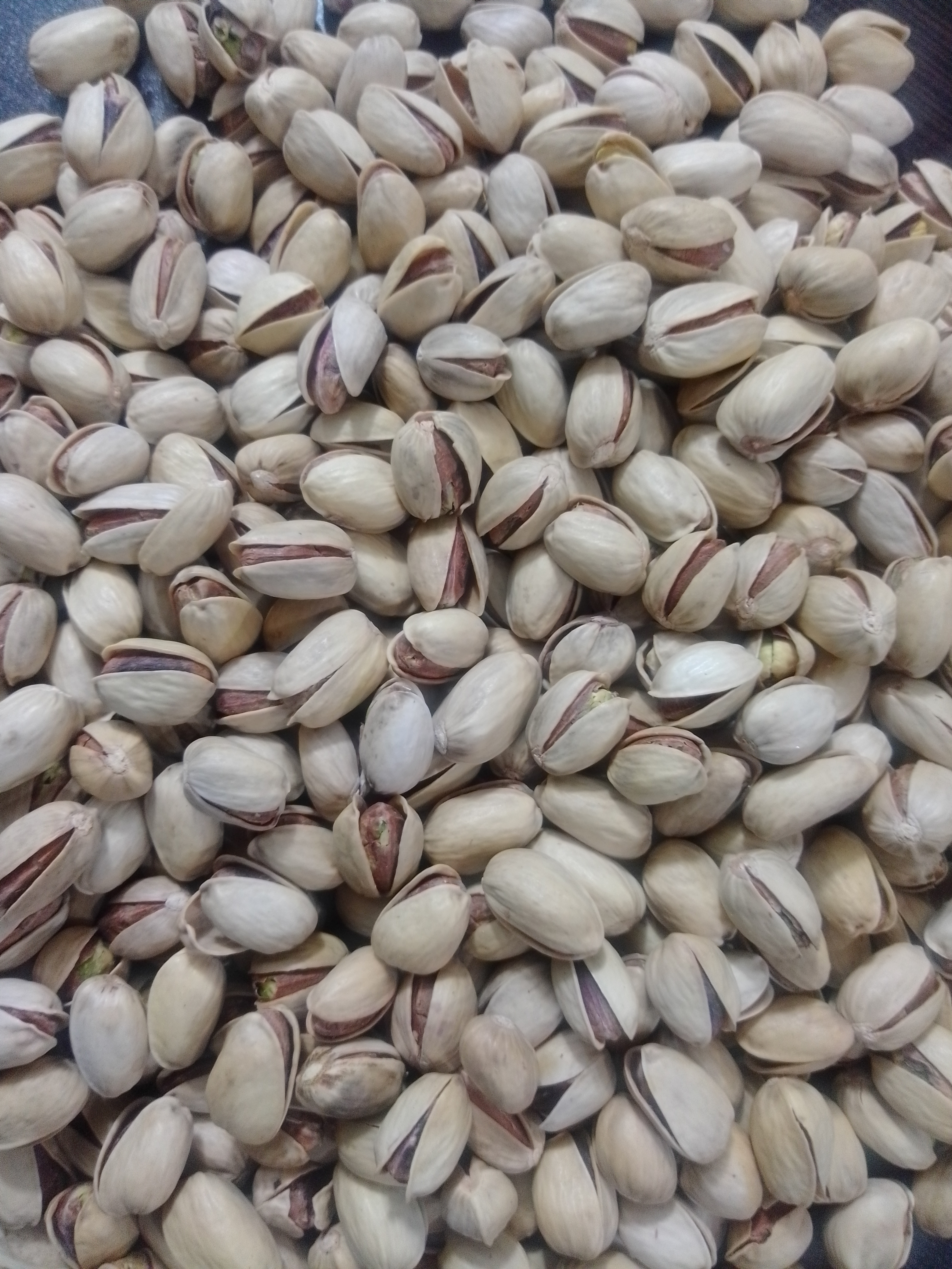 تولید و پخش پسته