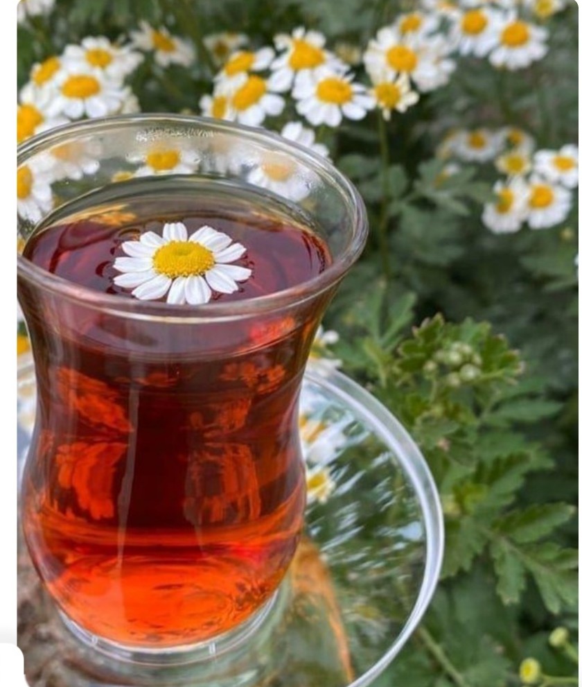 دمنوش ۴ گیاه لذت طعم جدید در ۴ چایی