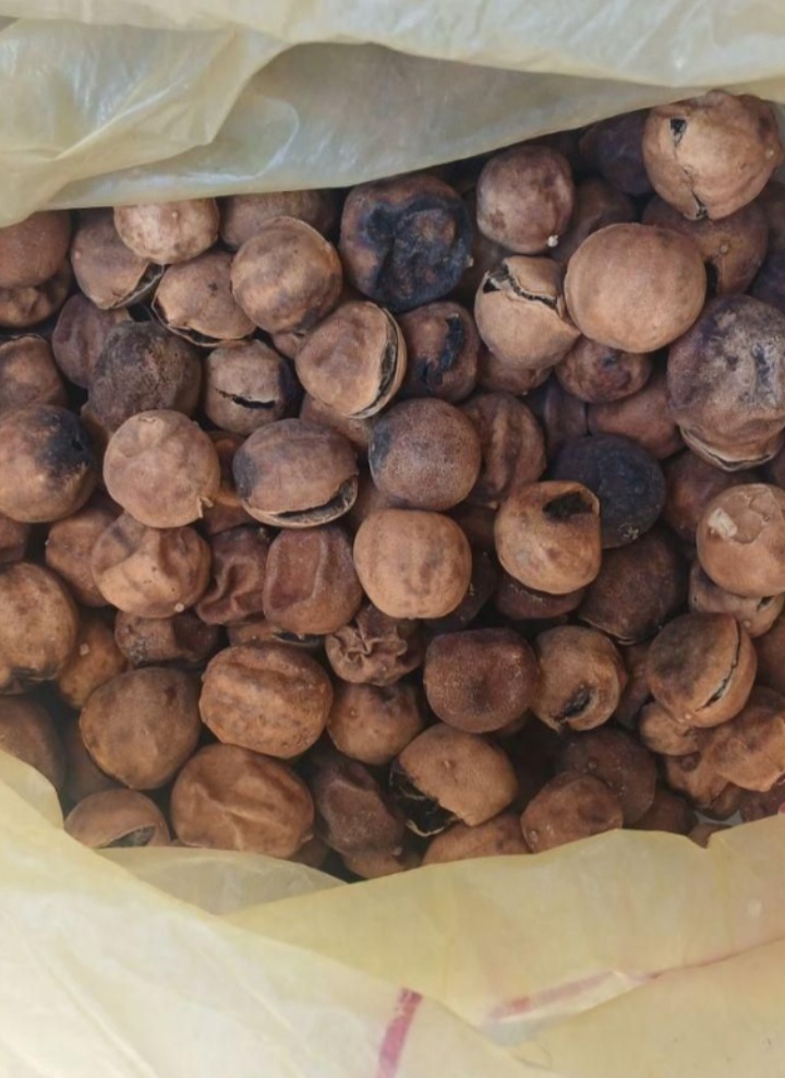 لیموعمانی