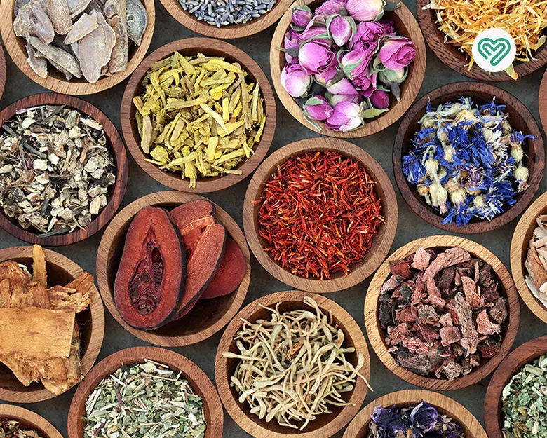 داروی گیاهی