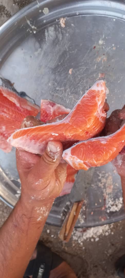 ماهی سالمون تازه