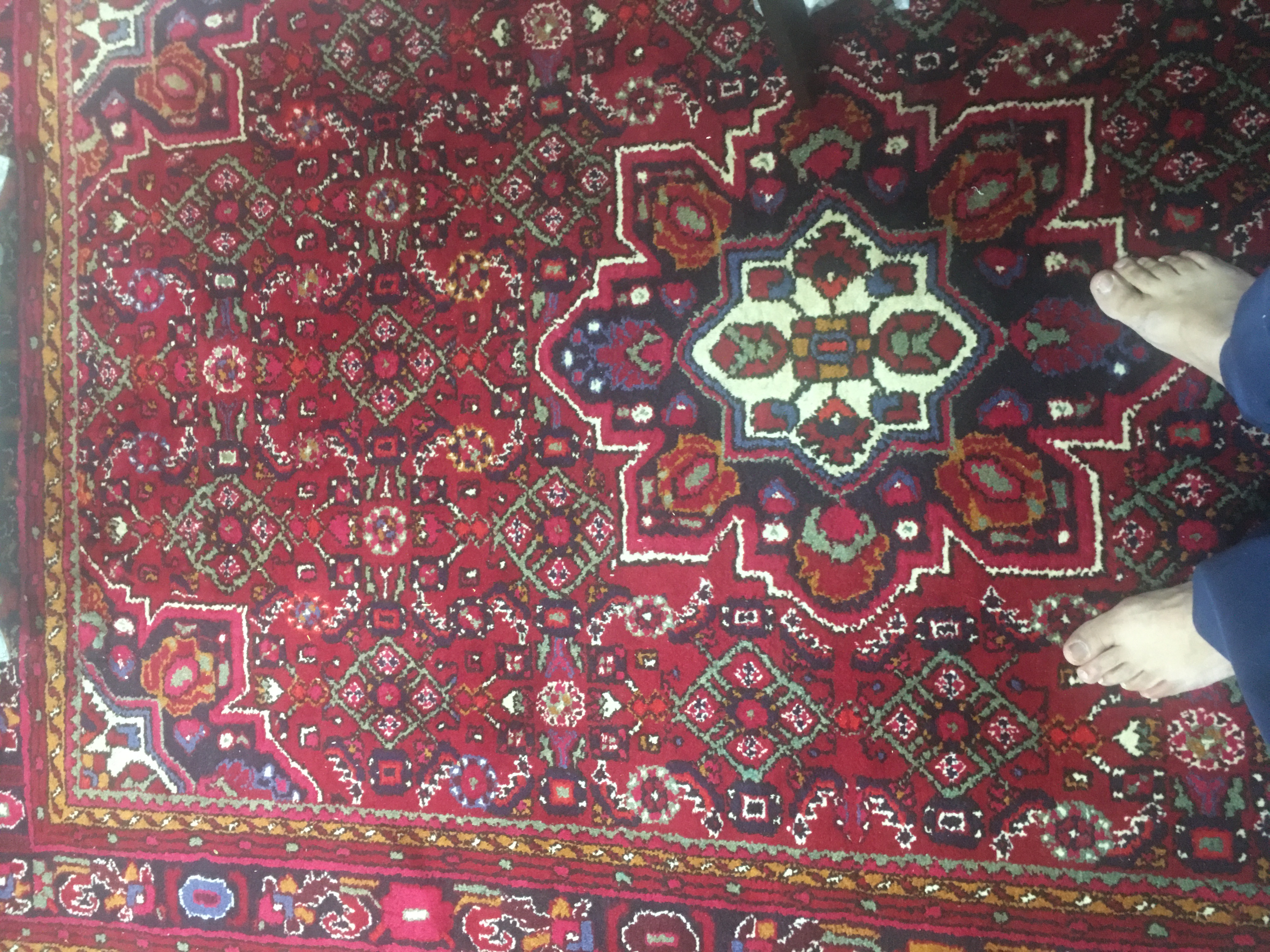 بیزینس فرش و  خشکبار