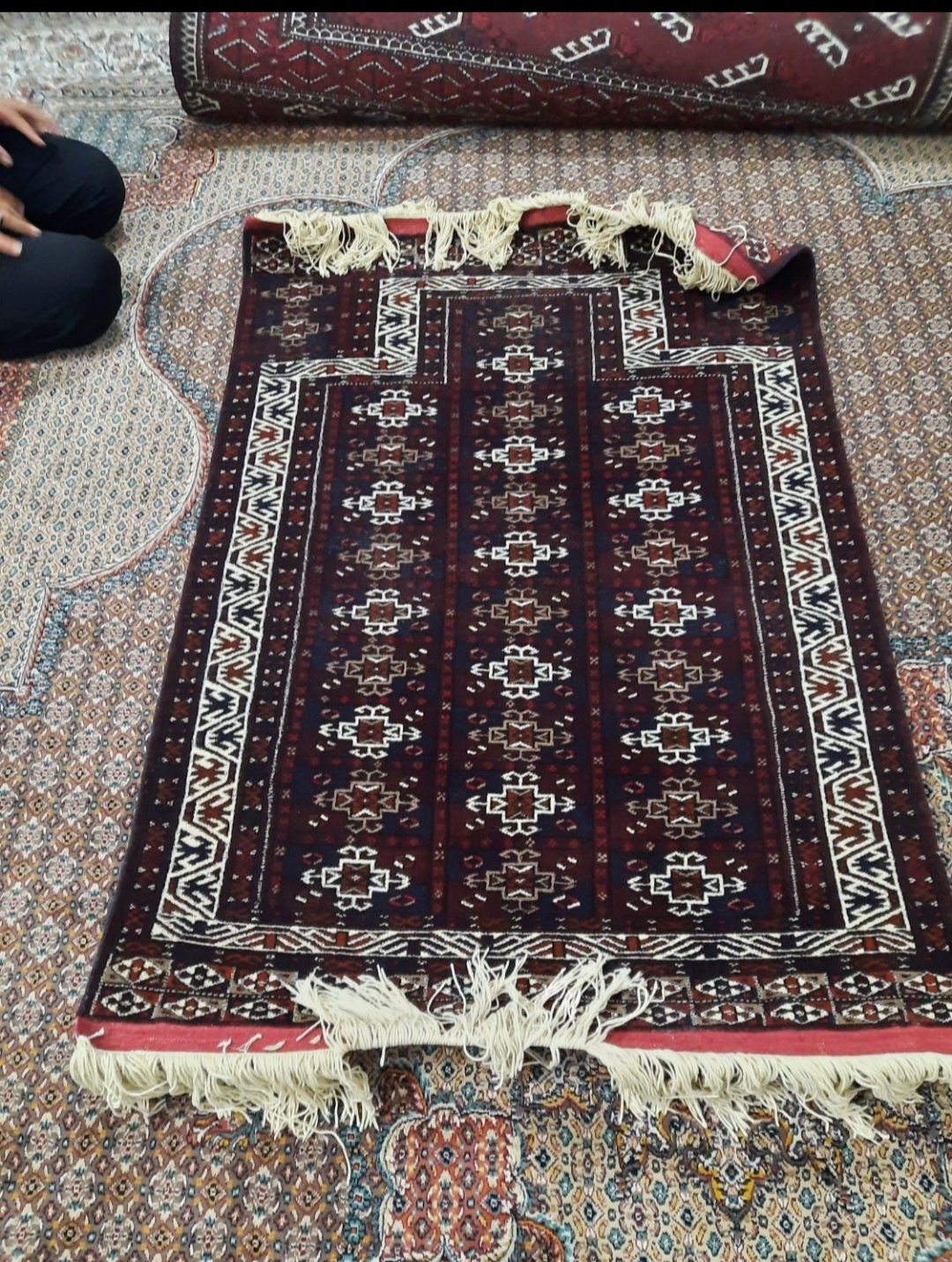 فروش انواع قالی و قالیچه ترکمن