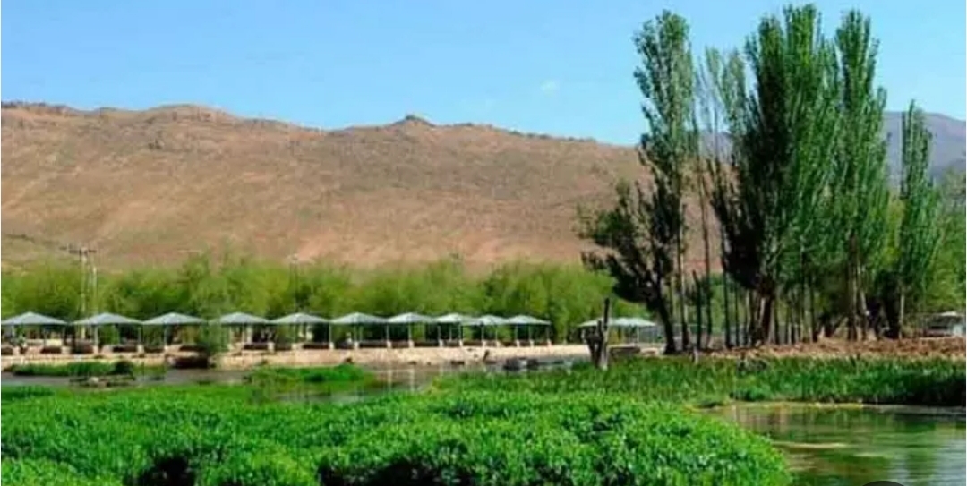زمین و باغ250متری 