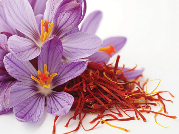 زعفران إيراني فاخر - نكهة وجودة لا تضاهى
