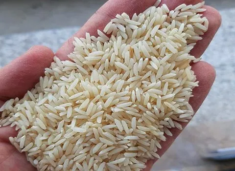 برنج درجه یک ممتاز محلی ایرانی(مینودشت)